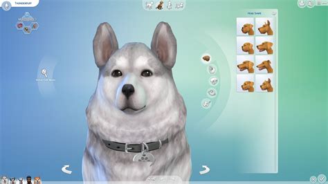 how to get a pet in sims 4